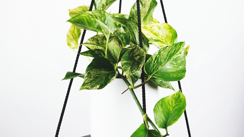 计算机屏幕显示足球比赛数据模拟的可视化分析结果